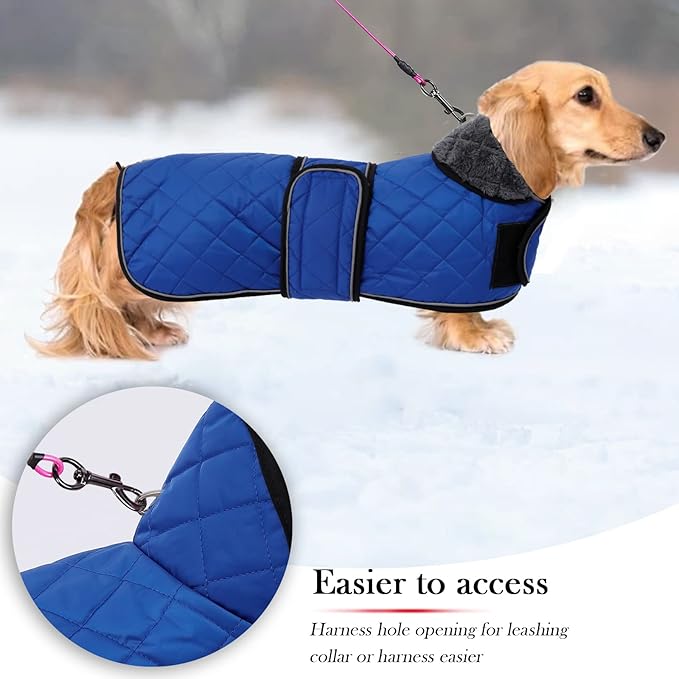 Warm Thermal Quilted Dachshund Coat, Dog Winter Coat with Warm Fleece Lining, Outdoor Dog Apparel with Adjustable Bands for Medium, Large Dog-Blue-L