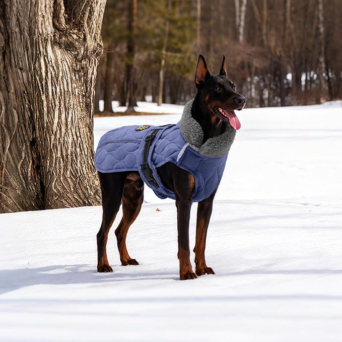 Dog Coats, Warm Puppy Apparel with Fleece Lining for Cold Weather, Windproof Medium Dog Winter Jacket, Reflective Dogs Snow Coat with Leash Hole and Adjustable Buckle, NewBlue M