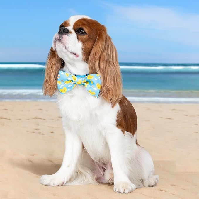 azuza Dog Collar with Bow Tie, Soft and Comfortable Adjustable Bowtie Dog Collar for Large Dogs (L, Yellow Duck)