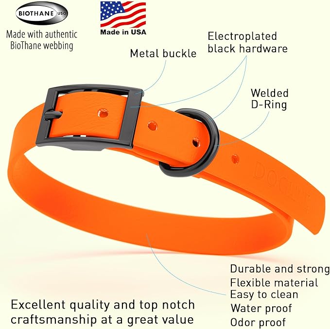 Dogline Biothane Coated Webbing Dog Collar with Black Metal Hardware: Durable Easy-Clean Everyday Collar for Dogs - Comfortable Adjustable Odor-Resistant Pet Collar, W3/4" x L15-18, Hunter Orange