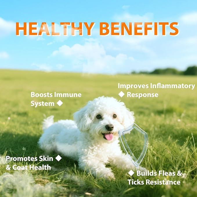 Flea and Tick Prevention for Dogs Chewables, Natural Dog Flea and Tick Treatment Chewable Supplement, 60 Chews (Pack of 1)