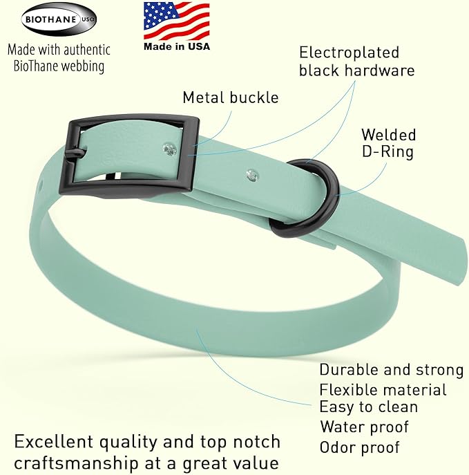 Dogline Biothane Coated Webbing Dog Collar with Black Metal Hardware: Durable Easy-Clean Everyday Collar for Dogs - Comfortable Adjustable Odor-Resistant Pet Collar, W1/2" x L9-12, Sage Green