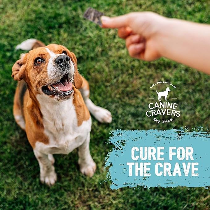 Canine Cravers Single Ingredient Dog Treats – Wild Caught Crispy Cod Skins - Human Grade Air Dried Hypoallergenic Pet Food – Grain, Gluten, and Soy Free – 100% All Natural – 4 oz