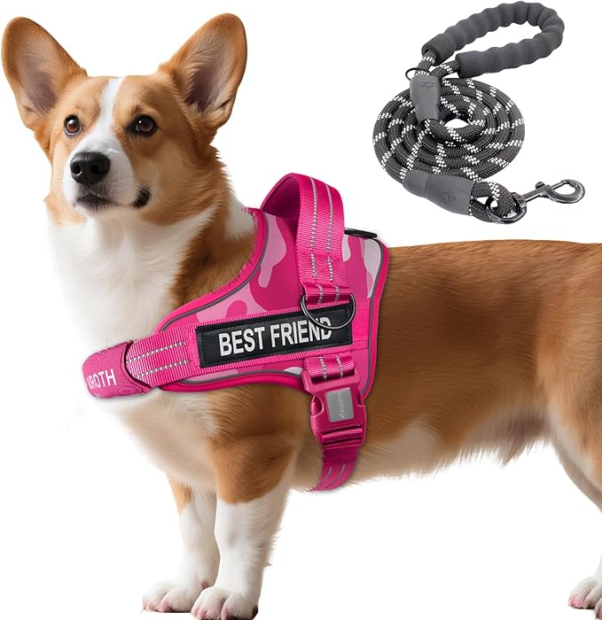 AUROTH Dog Harness and Leash Set, Soft Padded Service Dog Vest with 5.25FT Dog Leash, No Choke, Easy On Pet Vest, Adjustable Reflective No Pull Dog Harness for Large Dogs, Easy Walking and Training
