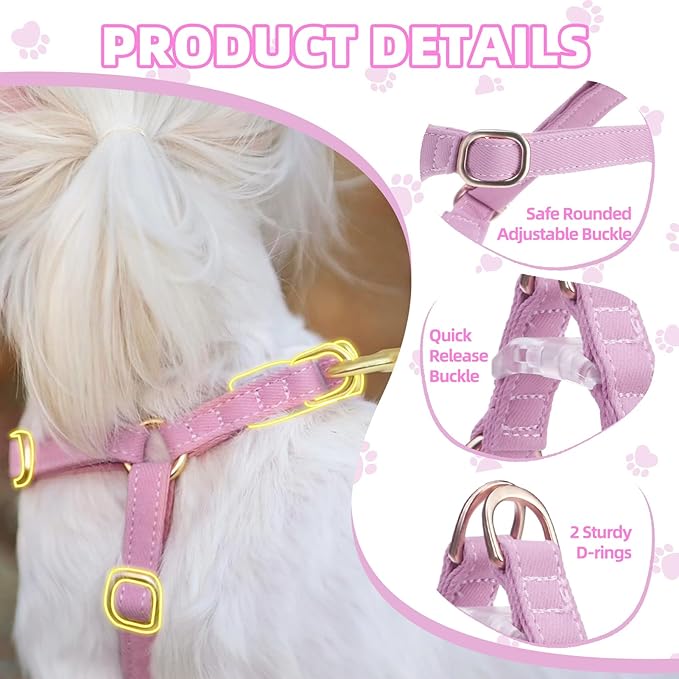 PUPTECK Dog Harness and Leash Set Small Sized, Step-in Cute Puppy Harness, Soft Lightweight Padded Vest, Escape Proof No Pull Pet Harnesses Easy for Walking, Purple, S