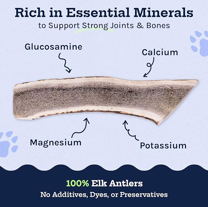 Good Trouble Premium Elk Antlers for Medium Dogs – 1 Pack Split - All-Natural, Shed Antler Chews for Dental Health & Calming - Durable Dog Bones - Cruelty-Free, North American Sourced