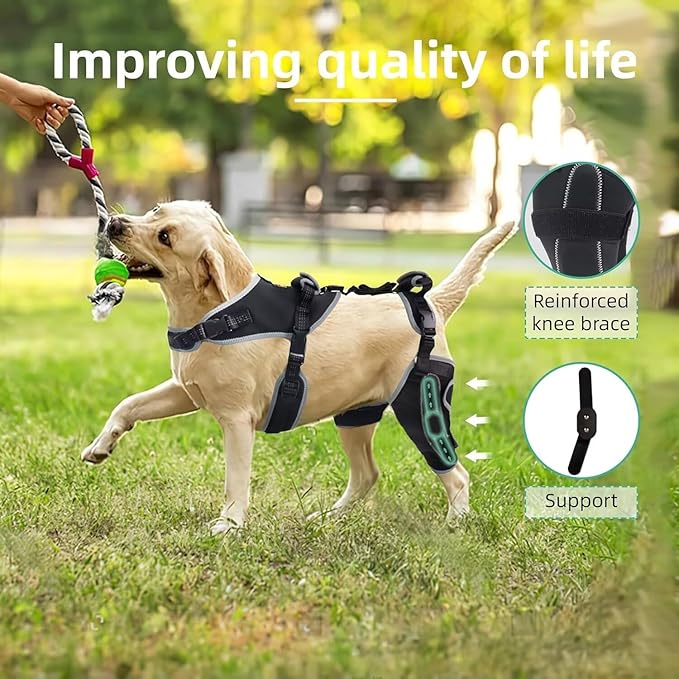 Dog Knee Brace for ACL/CCL Injuries,Torn Ligament,Pain Relief,Joint Warmth,Luxating Patella - Rear Leg Support,Black,Upgraded,Left Legs,(Size:M)