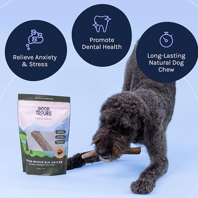 Good Trouble Premium Elk Antlers for Large Dogs – 2 Pack Whole - All-Natural, Shed Antler Chews for Dental Health & Calming - Durable Dog Bones - Cruelty-Free, North American Sourced