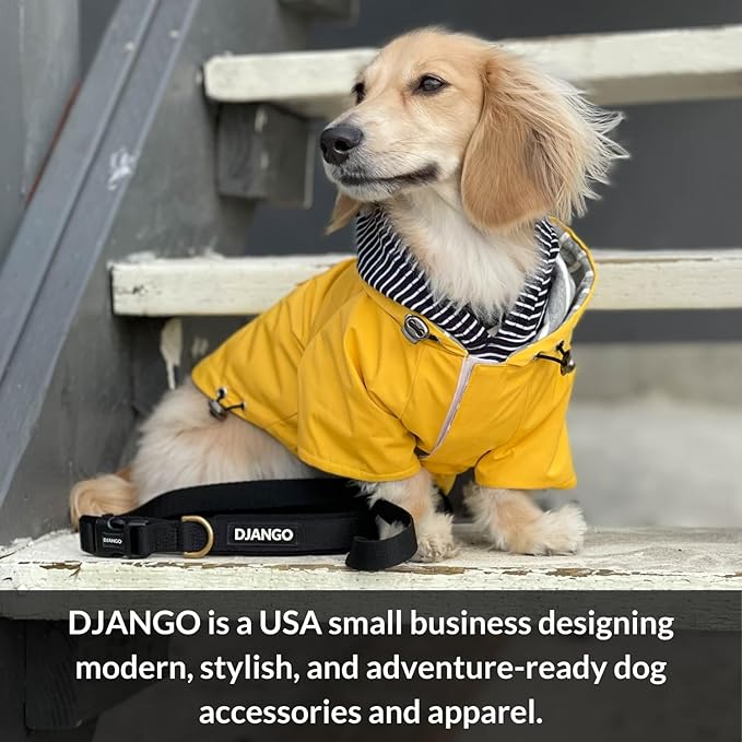 DJANGO Cotton Rope Dog Leash 5ft – Handcrafted Dog Leash and Cream Braided Leash for Small, Medium, and Large Dogs – Durable 5 Foot Training Lead for Puppies and Adult Dogs – Silver Hardware – Ivory