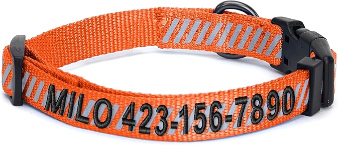 Pawtitas Reflective Dog Collar Reflective Thread Reflective Dog Collar Personalized Name Phone Number Adjustable Collar for Small Dogs Small Puppy Orange Dog Collar Extra Small Breeds