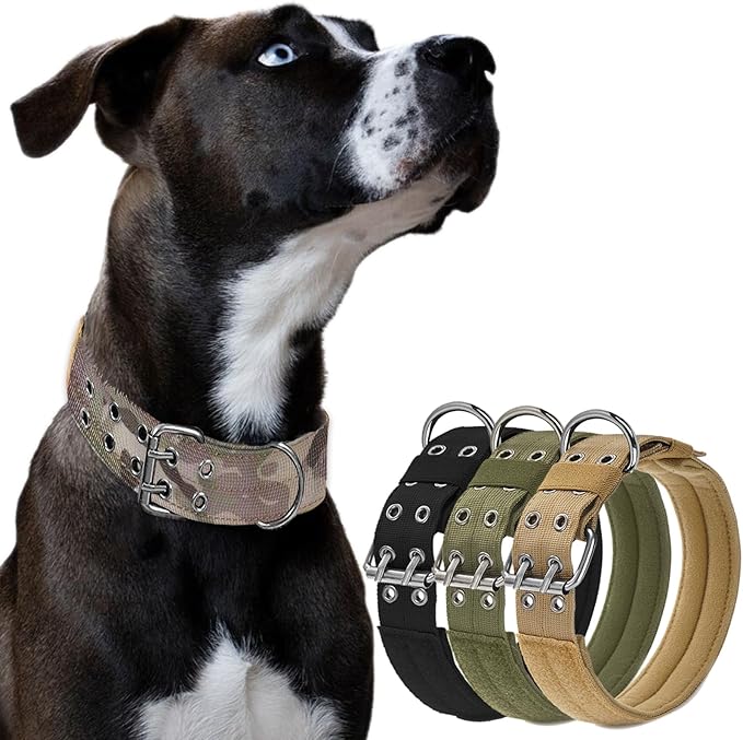 JSXD Tactical Dog Collar,Military Grade Nylon with Soft Padded Lining,1.5 inch Wide,Metal Buckle with 5 Adjustable Points,Heavy Duty Dog Collar for Medium Large Dogs (Camo, Medium)
