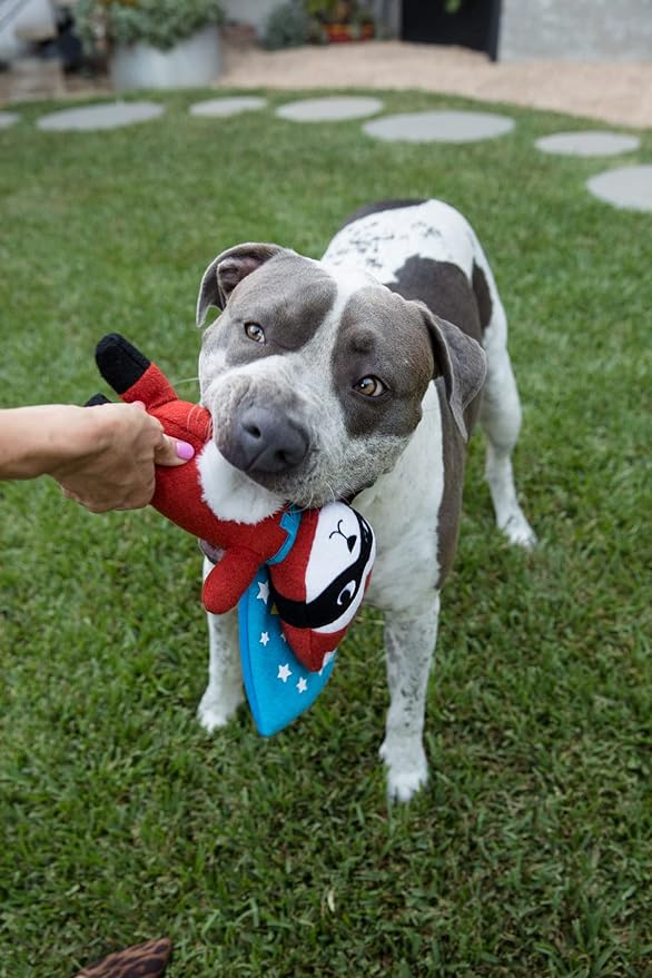 Jax & Bones Squeaky Dog Toys - 11" Tough Wool Squeak Toy for Dogs - Reinforced Seams for Moderate Chewers | Tricky Sam