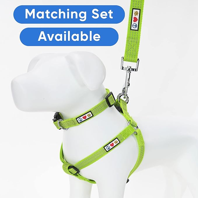 Pawtitas Reflective Dog Collar Adjustable Dog Collars for Medium Dogs Puppy Collar Medium Dog Collar Green Dog Collar