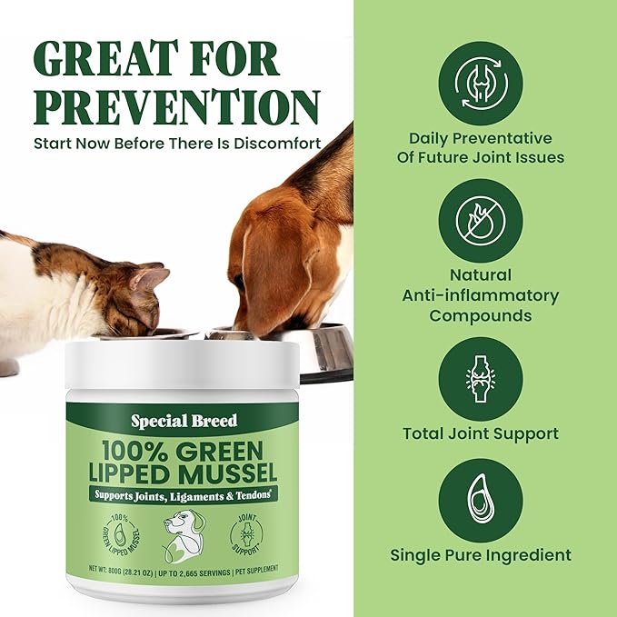 Green Lipped Mussel Powder for Dogs & Cats - 100% New Zealand Green Lipped Mussels - Natural Hip & Joint Supplement for Joints, Tendons, Ligaments, Muscles - 800 Grams (Pack of 2)