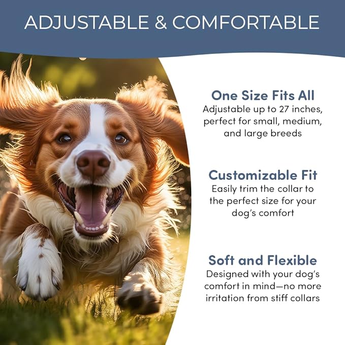 Flea and Tick Prevention for Dogs and Cats - All Natural 8-Month Flea Collar for Dogs, Effective Dog Flea & Tick Control, Chemical-Free Flea Collars, No Pesticides