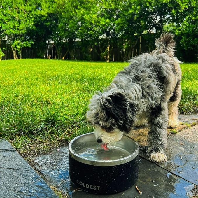 Coldest Dog Bowl - Anti Rust Metal, Non Slip, 3 Layers Insulated Stainless Steel Dog Bowls - Spill Proof & Heavy Duty - Water Bowl for Dogs, Cats & Pets, Dish Washer Safe (21 oz, Terraform Green)