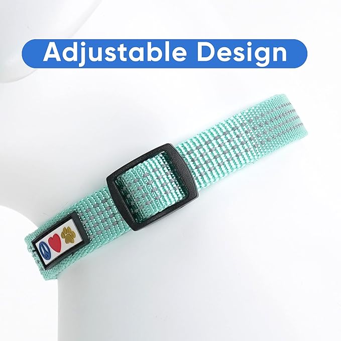 Pawtitas Reflective Dog Collar - Adjustable for Medium Dogs & Puppies - Teal