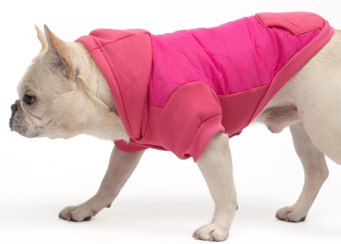 KOOLTAIL Warm Dog Winter Coat for Small Dogs, Waterproof Puppy Jacket with Leash Hole, Cold Weather Pet Vest for Winter, Soft Hoodie Sweater Sweatshirt Clothes for Puppy Cats Girls Boys Rose Red S