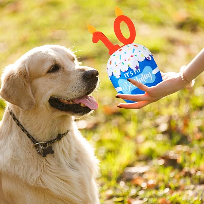 Dog Birthday Cake Toy Accessories for Girl Boy Gifts, Squeaky Plush Toy for Dog Birthday Party Decor Favor for Large, Medium and Small Dogs(10th,Blue)