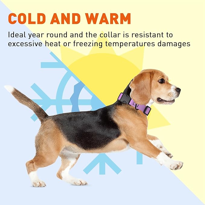 Dogline Durable Biothane Waterproof Collar for Dogs - Odor-Resistant Coated Webbing, Quick-Release Design, Comfortable Adjustable Fit, 3/4" W by 12-19" L,Amethyst Purple