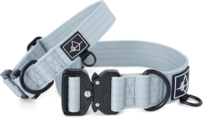 Made to ROAM Premium Dog Collar - Adjustable Heavy Duty Nylon Collar with Quick-Release Metal Buckle (Alaska Daybreak, Classic Size 2)