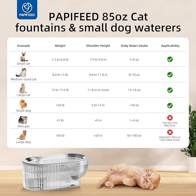 PAPIFEED Cat Water Fountain + Stainless Steel Tray (White Single Filter Element, Not Mat)