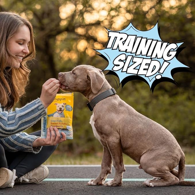 Chippin Fish Jerky Natural Dog Training Treats | Made in USA, Grain-Free, Hypoallergenic & Human-Grade Protein | Puppies & Senior Dogs | Low Fat (4-Pack, Wild-Caught Fish)