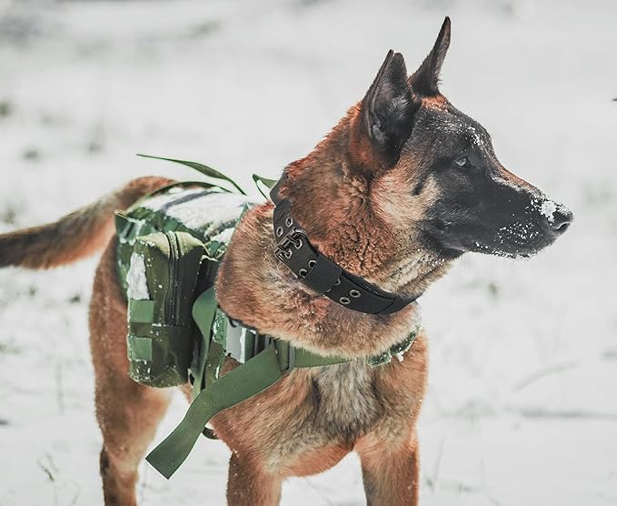Tactical Dog Collar with Handle - Military Adjustable Dog Training Collar Soft Nylon and Heavy Duty Metal Buckle for Medium Large Dogs - with Patch (Green with Patch, Large)
