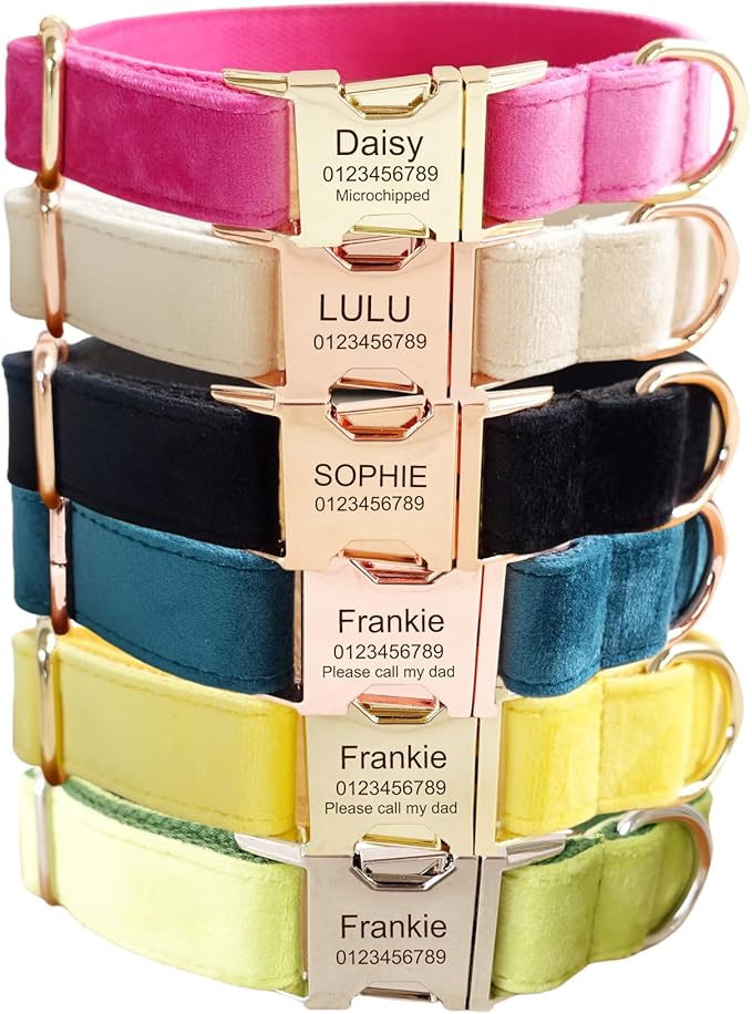 Custom Engraved Dog Collar with Name and Phone Number, Personalized for Small, Medium, and Large Dogs (Velvet)