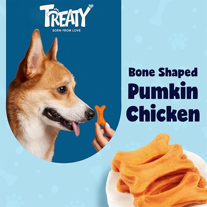 Treaty Healthy Pumpkin Puree Chicken Dog Treats Baked Bone Shape All Natural Grain Free Human Grade Ingredients 16oz