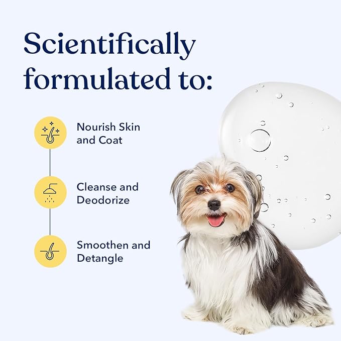 Honest Paws Dog Shampoo and Conditioner - Premium Dog Wash for Allergies and Dry, Itchy, Moisturizing for Sensitive Skin - Sulfate Free, Plant Based, All Natural -16 Fl Oz