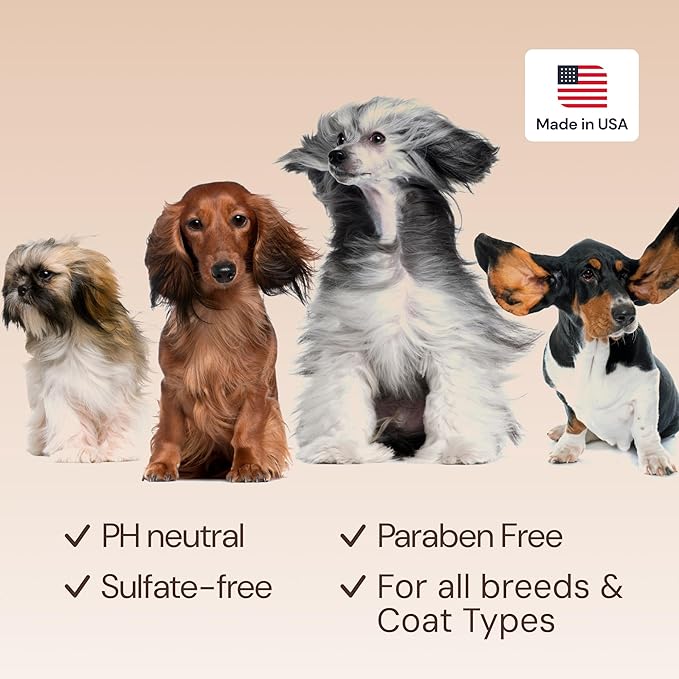 Sunny & Honey Dog Perfume Spray & Cologne - 4 fl oz (2-Pack) - Beach Scent - pH-Balanced, Long-Lasting Deodorizing & Hydrating Detangling Spray with Aloe & Vitamin E - Dog Grooming Supplies