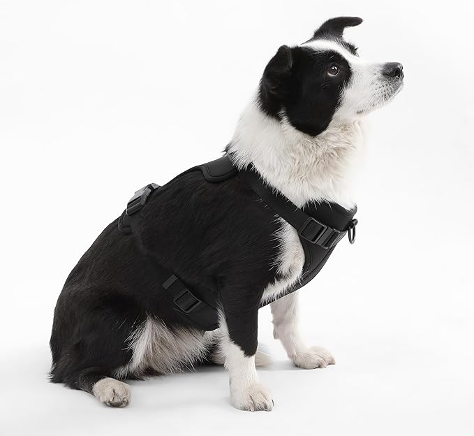 HNS1003I Arlo Large Adjustable Soft Padded No Pull Pet Harness with 3 Buckles and 3 Leash Clips, Bitters