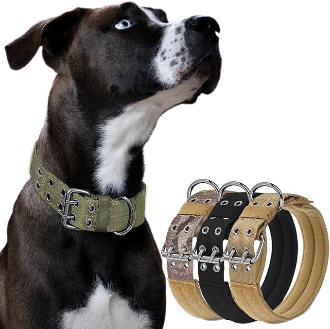 JSXD Tactical Dog Collar,Military Grade Nylon with Soft Padded Lining,1.5 inch Wide,Metal Buckle with 5 Adjustable Points,Heavy Duty Dog Collar for Medium Large Dogs (Green, Large)