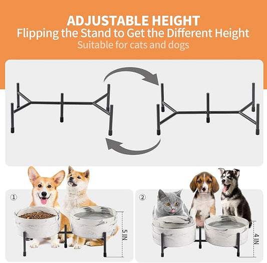 6 Inch Raised Ceramic Dog and Cat Bowl with Iron Stand, 32 OZ Modern Elevated Food and Water Bowls for Cats & Dogs, No Spill Porcelain Pet Feeder, Set of 2