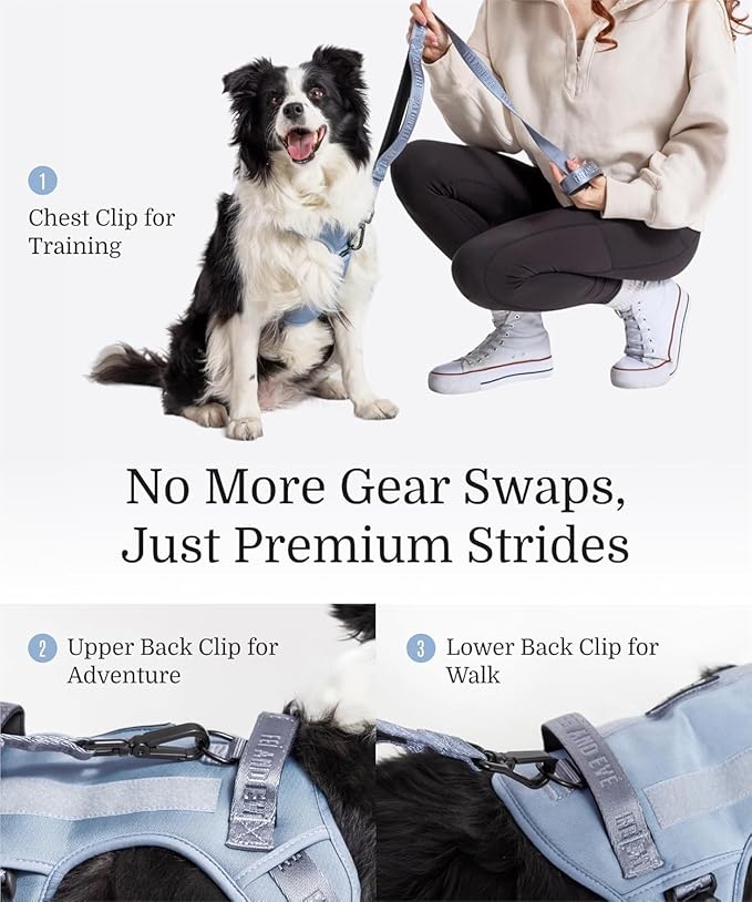 2025 New Edition, Fei & Eve MagEase Dog Harness - 3-Second Magnetic Buckles | 3-Point No-Pull Control | Heavy-Duty 900D Nylon | Dual Safety Handles | Breathable Mesh | Adjustable Fit | Medium, Blue