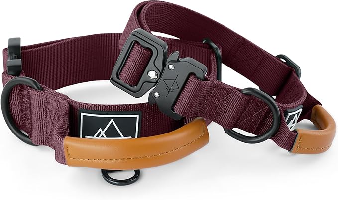 Roam Made toPremium Explorer Control Collar - Adjustable Heavy Duty Nylon Dog Collar with Quick-Release Metal Buckle and Leather Handle (Vermont Weekends, Size 5, Control)