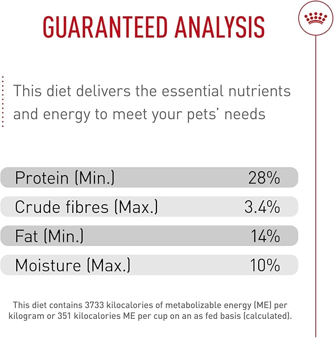 Royal Canin Breed Health Nutrition Jack Russell Terrier Adult Dry Dog Food, 10 lb Bag