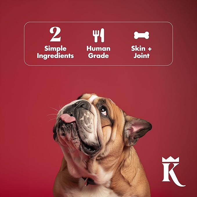 King Lou Pets - Bone Broth Booster Holistic Defense - Beef Bone Broth and Turkey Tail Mushroom - Meal Topper for Dogs and Cats - Food Topper for Immune Support