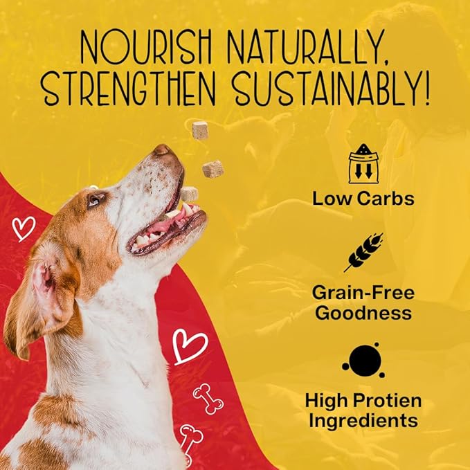 Chewmasters 100% Pure Beef Liver Bites, Healthy Freeze Dried Dog Treats, 17.6 oz, All Natural, Grain Free, High Protein & Zero Additives, Made in USA, Packed with Nutrients and Vitamins