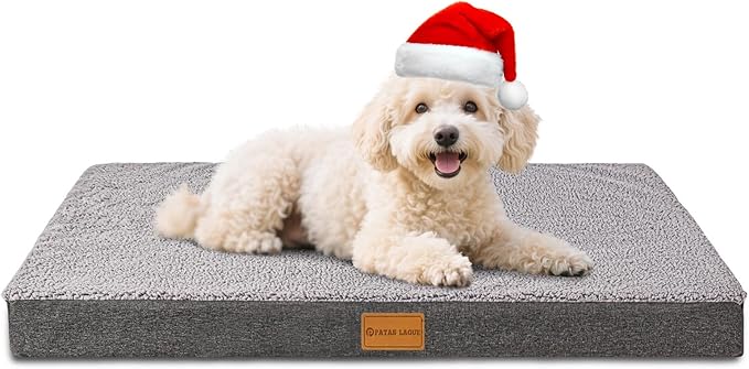 Patas Lague Orthopedic Dog Bed for Small Dogs 20''X15'', Soft Waterproof Egg Crate Foam Small Pet Crate Beds Mat with Removable Washable Cover and Non-Slip Bottom, Light Grey