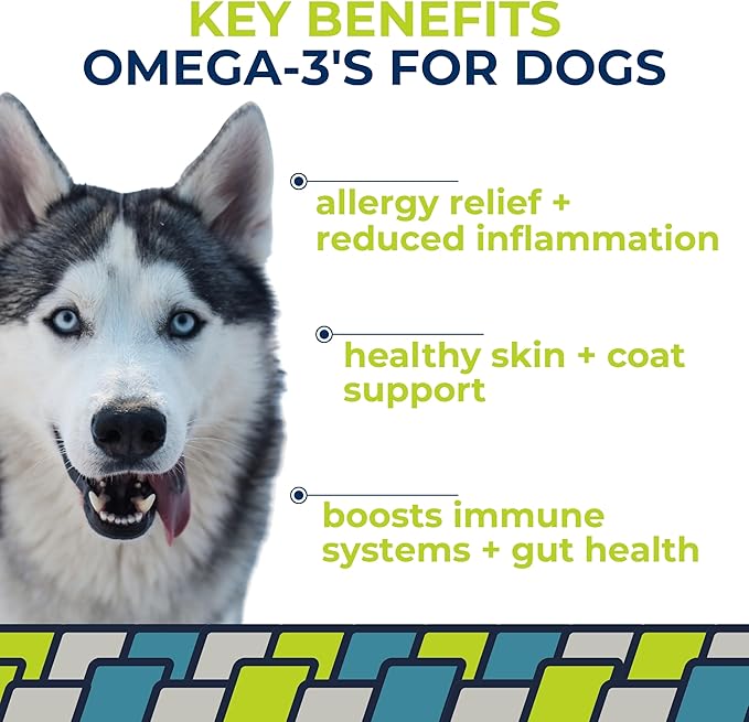 Momentum Carnivore Nutrition Long Cod Dog Chews – Single Ingredient Icelandic Cod Skin Treats – Natural Dental Support, High-Protein Fish Chews - 4.2 oz Bag