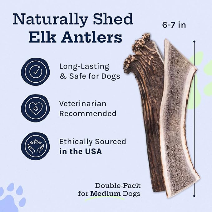 Good Trouble Premium Elk Antlers for Medium Dogs – 2 Pack Split - All-Natural, Shed Antler Chews for Dental Health & Calming - Durable Dog Bones - Cruelty-Free, North American Sourced