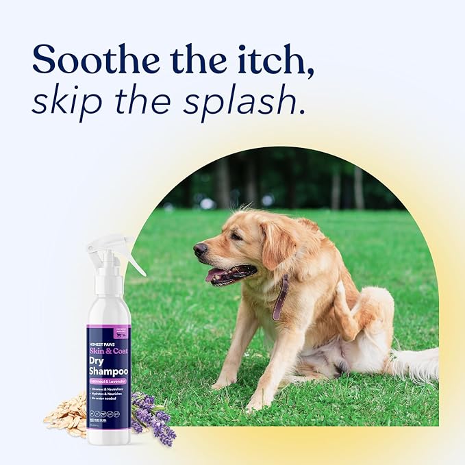Honest Paws Dog Dry Shampoo - Waterless No Rinse Foaming Formula Reducing Itch Cleanse Hydrate Nourish Dry Skin and Smelly Coat Help Decrease Odor Shedding and Allergies - Oatmeal & Lavender - 8 fl oz