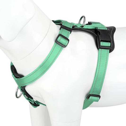 Plutus Pet Adjustable No Pull Dog Harness with Leather Accents, Heavy Duty Reflective Nylon Vest for Training, Hiking, Easy Walk Harness for Small, Medium, Large Dogs (Teal, M)