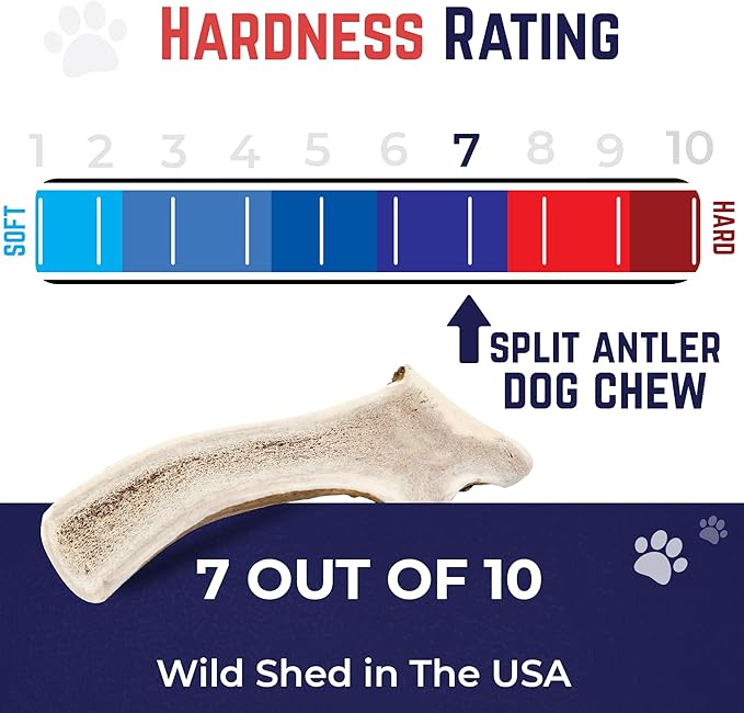 Devil Dog Pet Co. Split Elk Antlers for Dogs, Medium 5"+, 1 Pack, Grade A Long Lasting Chew for Aggressive Chewers, Premium USA Naturally Shed Antler – Healthy, No Odor, Durable Dog Chew