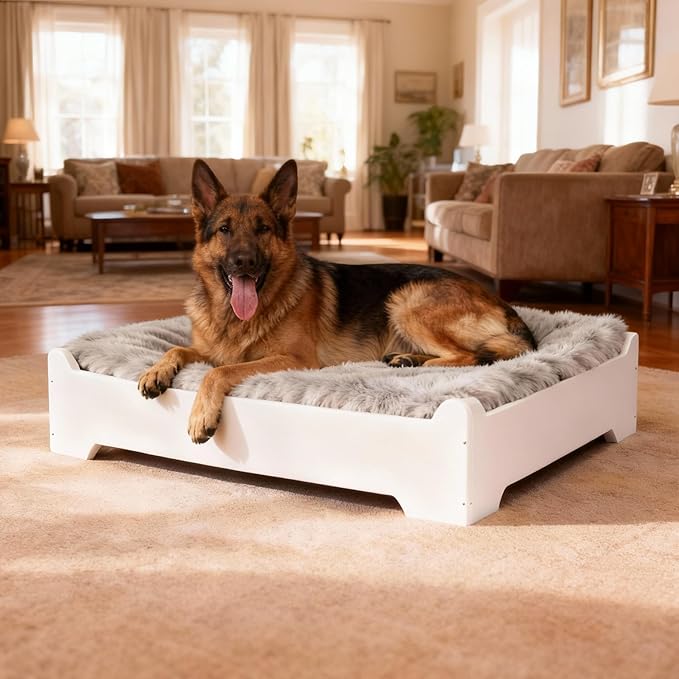 Elevated Dog Bed,38×29 Inch Extra Large Raised Dog Couch with Cover, White XL Supports up to 90lbs