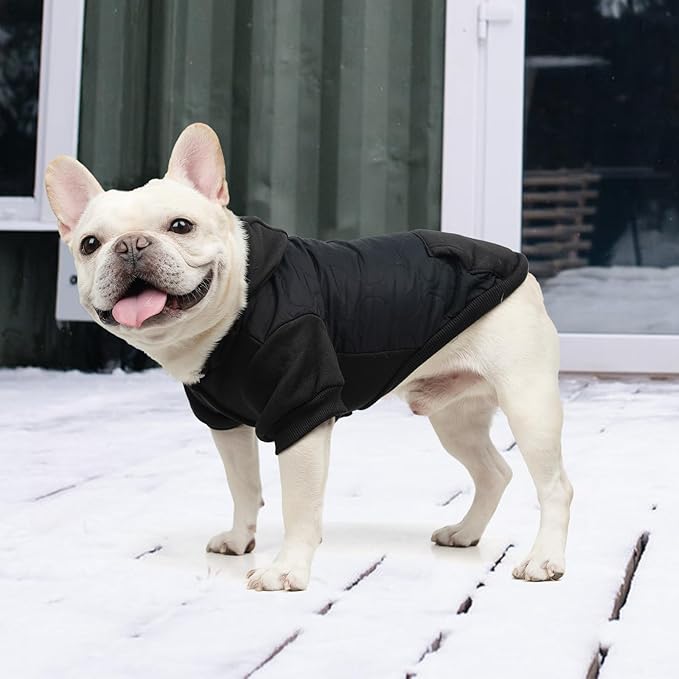 KOOLTAIL Warm Dog Winter Coat for Small Dogs, Waterproof Puppy Jacket with Leash Hole, Cold Weather Pet Vest for Winter, Soft Pet Hoodie Sweater Sweatshirt Clothes for Puppy Cats Girls Boys Black M