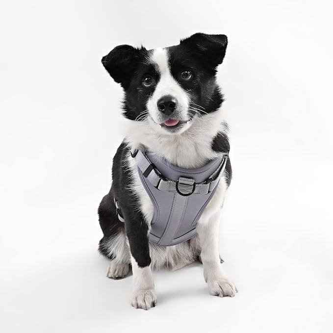 HNS1003N Arlo Large Adjustable Soft Padded No Pull Pet Harness with 3 Buckles and 3 Leash Clips, Martini