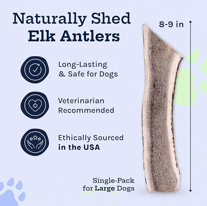 Good Trouble Premium Elk Antlers for Large Dogs – 1 Pack Split - All-Natural, Shed Antler Chews for Dental Health & Calming - Durable Dog Bones - Cruelty-Free, North American Sourced